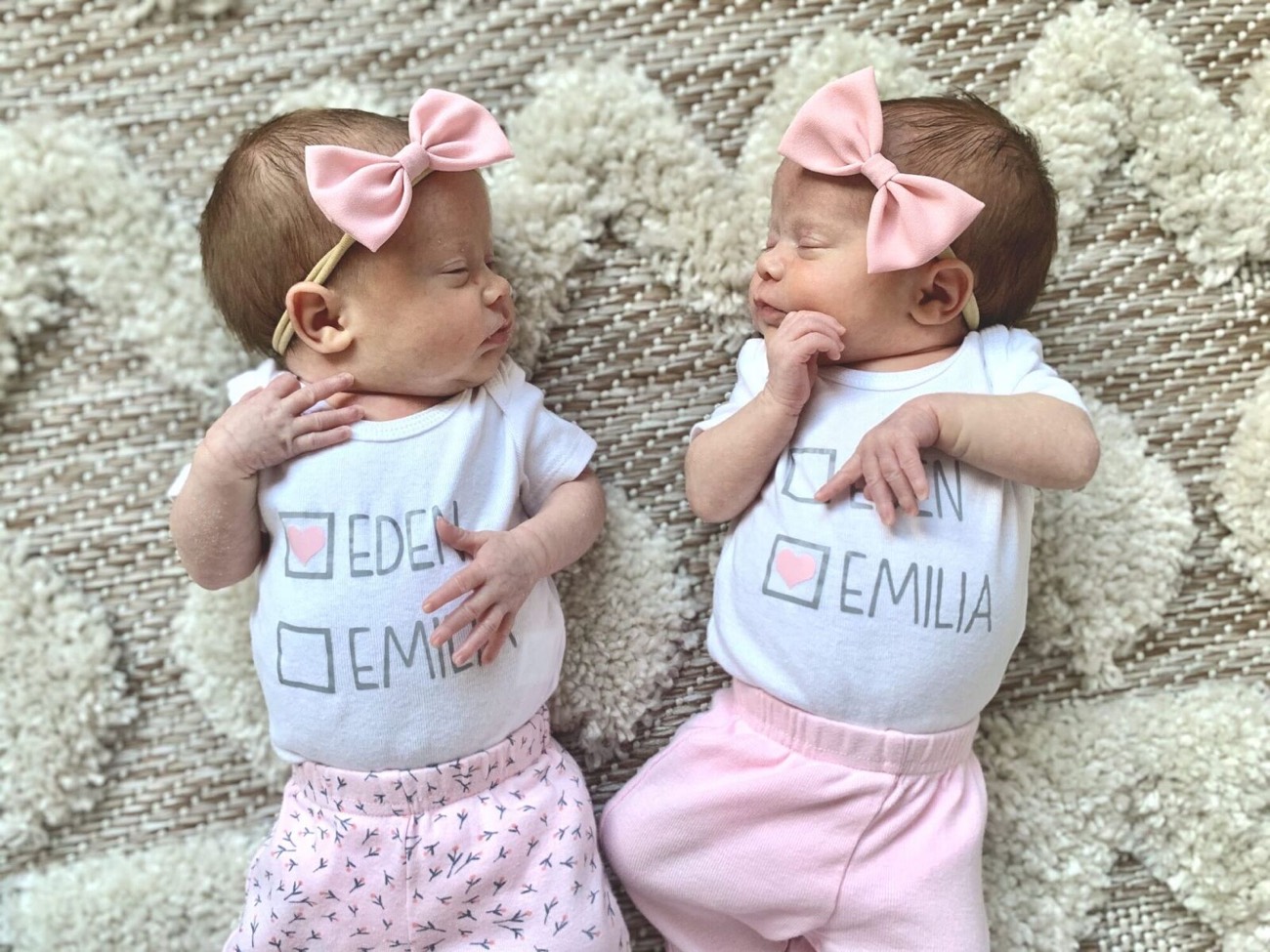 My Twin Girls' Nursery – Three Daughters Home